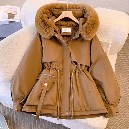 Women's Warm Winter Jacket Classic Design Versatile Fit Brown